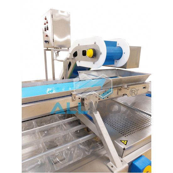 CONVEIOR IN URCARE CU RACLETA - COD 40107